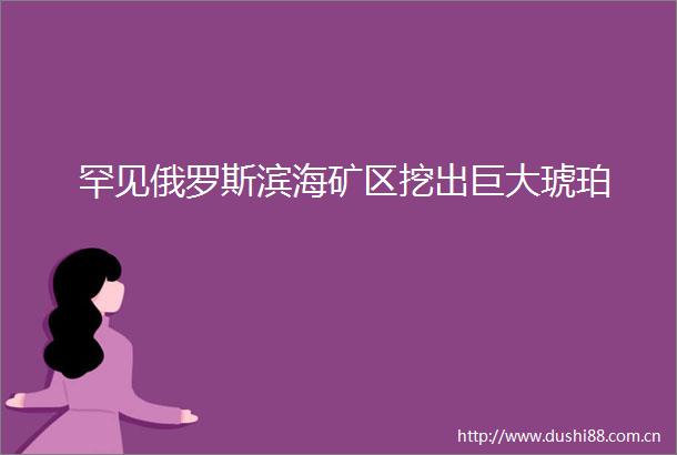 罕见俄罗斯滨海矿区挖出巨大琥珀