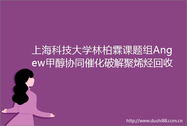 上海科技大学林柏霖课题组Angew甲醇协同催化破解聚烯烃回收困局高效制备高值C9烷基芳烃