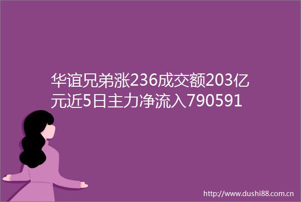 华谊兄弟涨236成交额203亿元近5日主力净流入790591万