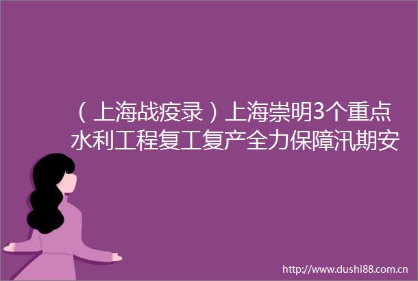 （上海战疫录）上海崇明3个重点水利工程复工复产全力保障汛期安全