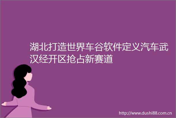 湖北打造世界车谷软件定义汽车武汉经开区抢占新赛道