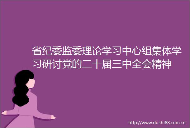 省纪委监委理论学习中心组集体学习研讨党的二十届三中全会精神