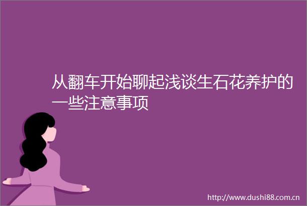 从翻车开始聊起浅谈生石花养护的一些注意事项