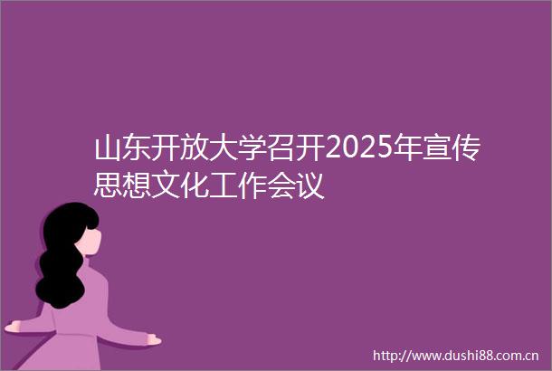 山东开放大学召开2025年宣传思想文化工作会议
