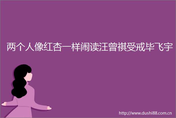 两个人像红杏一样闹读汪曾祺受戒毕飞宇