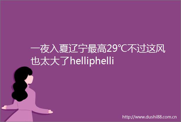 一夜入夏辽宁最高29℃不过这风也太大了helliphellip辽婶儿聊天