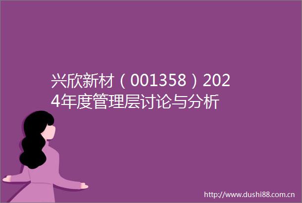兴欣新材（001358）2024年度管理层讨论与分析