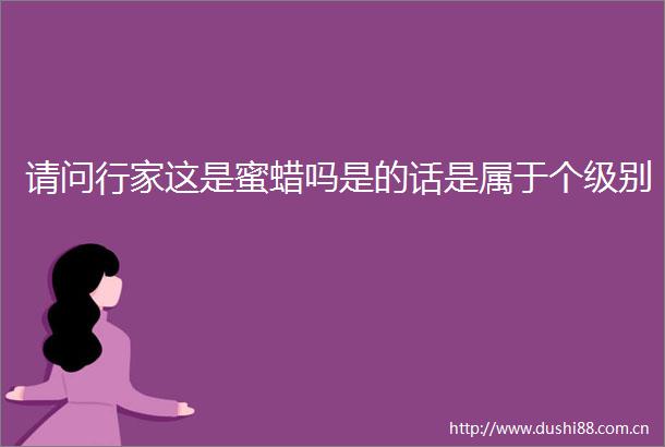 请问行家这是蜜蜡吗是的话是属于个级别