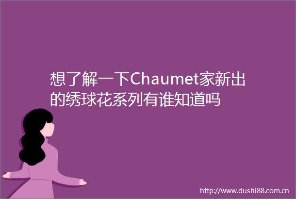 想了解一下Chaumet家新出的绣球花系列有谁知道吗