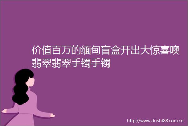 价值百万的缅甸盲盒开出大惊喜噢翡翠翡翠手镯手镯