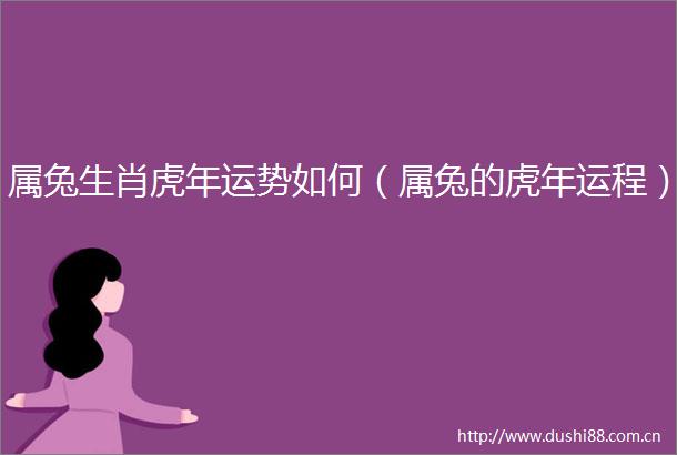 属兔生肖虎年运势如何（属兔的虎年运程）
