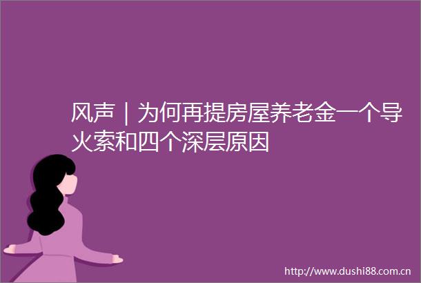 风声｜为何再提房屋养老金一个导火索和四个深层原因