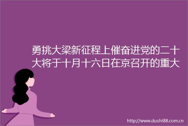 勇挑大梁新征程上催奋进党的二十大将于十月十六日在京召开的重大喜讯在江苏引发热烈反响