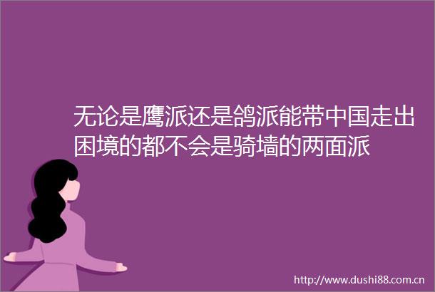 无论是鹰派还是鸽派能带走出困境的都不会是骑墙的两面派