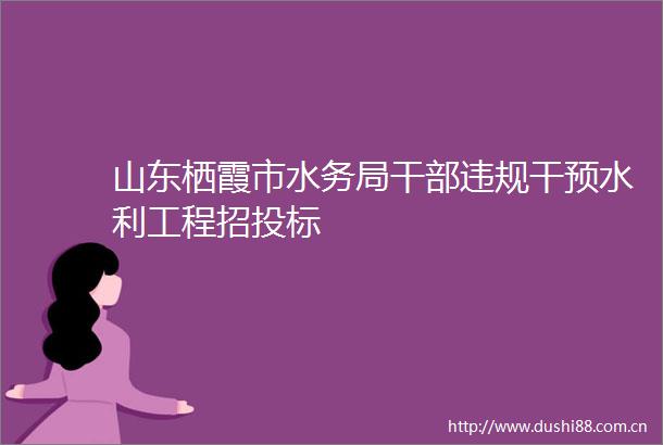 山东栖霞市水务局干预水利工程招投标