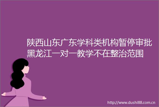 陕西山东广东学科类机构暂停审批黑龙江一对一教学不在整治范围