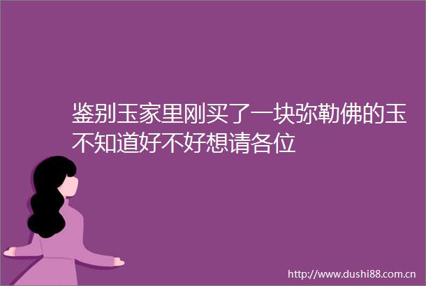 鉴别玉家里刚买了一块弥勒佛的玉不知道好不好想请各位