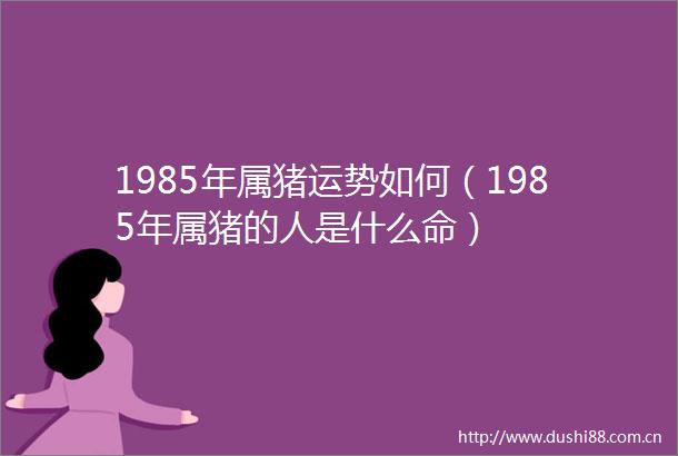 1985年属猪运势如何（1985年属猪的人是什么命）
