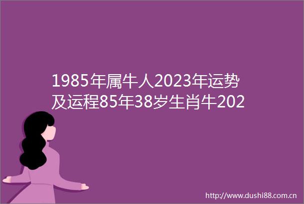 1985年属牛人2023年运势及运程85年38岁生肖牛2023年全年每月运势