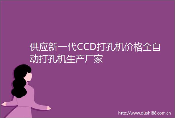 供应新一代CCD打孔机价格全自动打孔机生产厂家