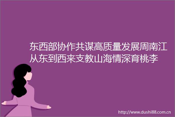 东西部协作共谋高质量发展周南江从东到西来支教山海情深育桃李