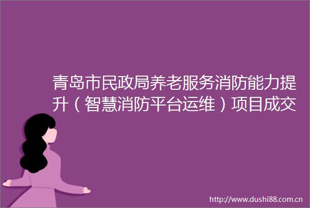 青岛市民养老服务消防能力提升（智慧消防平台运维）项目成交公告