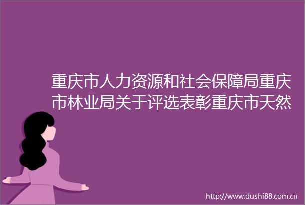 重庆市人力资源和社会保障局重庆市林业局关于评选表彰重庆市天然林资源保护工程先进集体和先进个人的通知