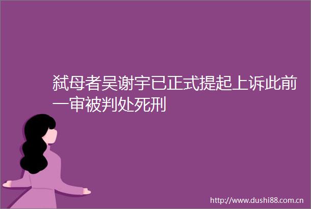 弑母者吴谢宇已正式提起上诉此前一审被判处死刑