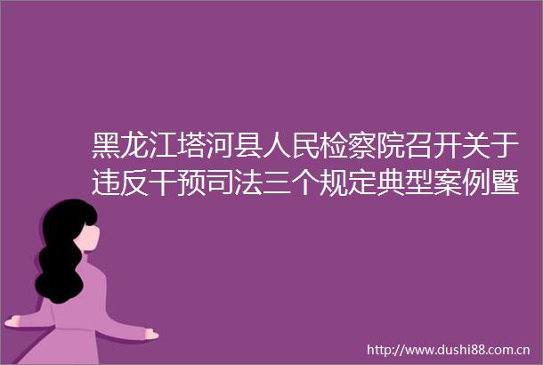 黑龙江塔河县检察院召开关于违反干预司法三个规定典型案例暨重大事项填报情况通报会