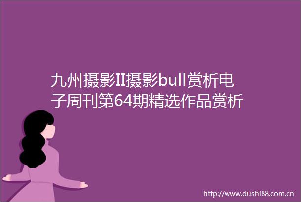 九州摄影II摄影bull赏析电子周刊第64期精选作品赏析