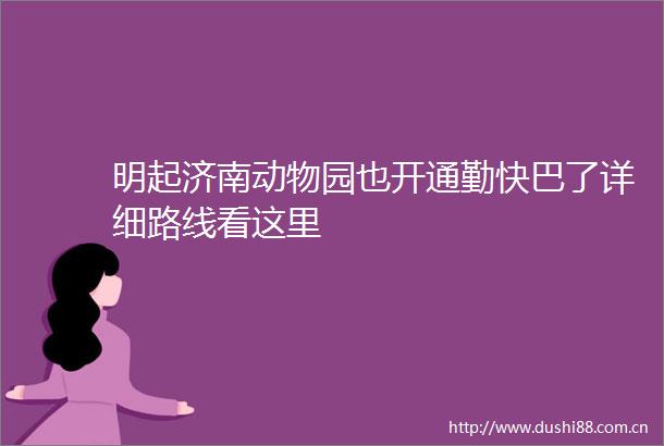 明起济南动物园也开通勤快巴了详细路线看这里