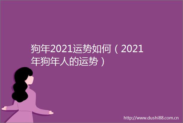 狗年2021运势如何（2021年狗年人的运势）