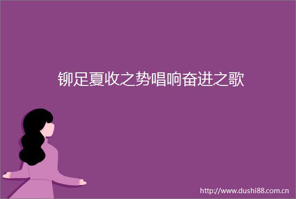 铆足夏收之势唱响奋进之歌