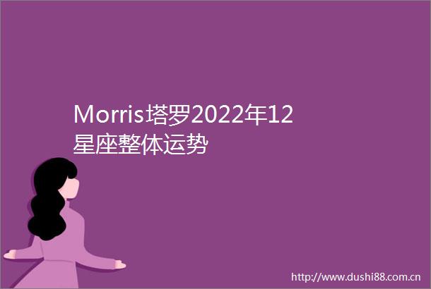 Morris塔罗2022年12星座整体运势