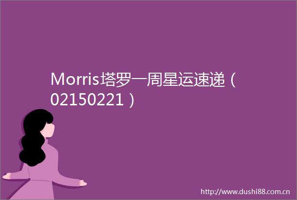 Morris塔罗一周星运速递（02150221）