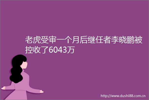 老虎受审一个月后继任者李晓鹏被控收了6043万