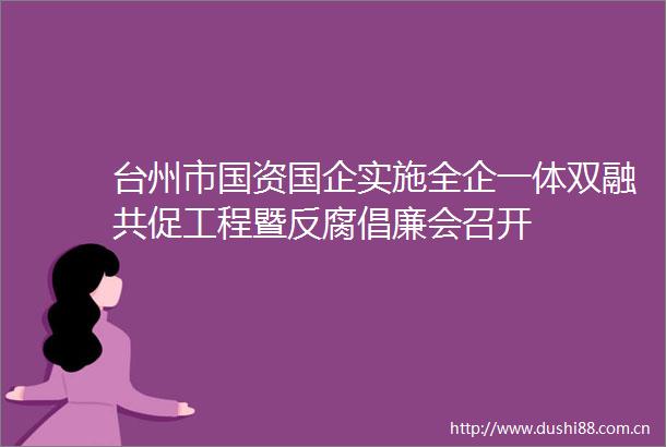 台州市国资国企实施全企一体双融共促工程暨倡廉会召开