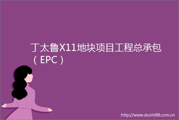 丁太鲁X11地块项目工程总承包（EPC）