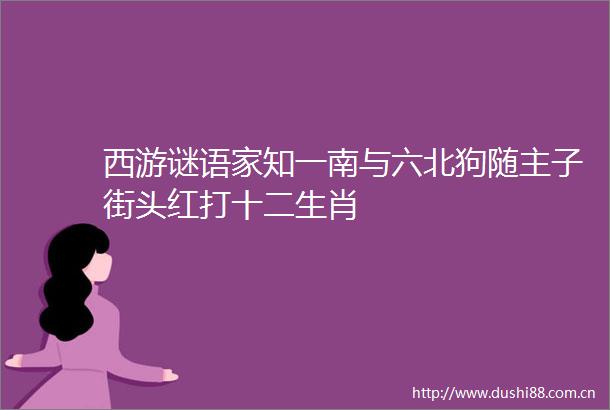 西游谜语家知一南与六北狗随主子街头红打十二生肖