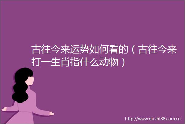 古往今来运势如何看的（古往今来打一生肖指什么动物）