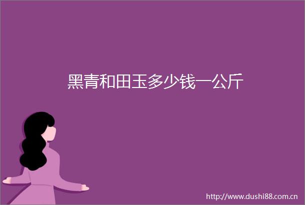 黑青和田玉多少钱一公斤