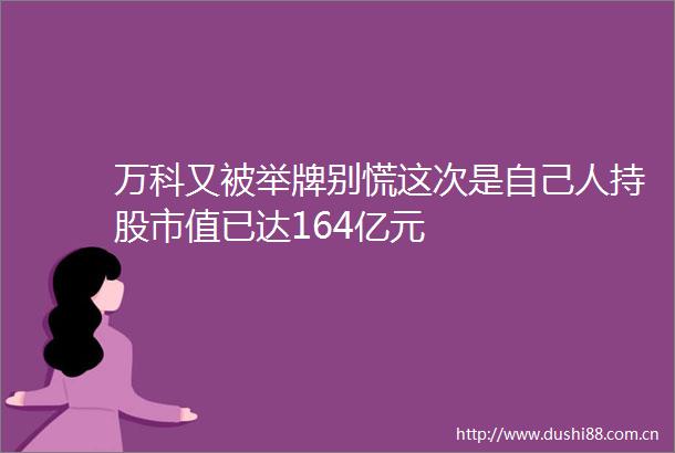 万科又被举牌别慌这次是自己人持股市值已达164亿元