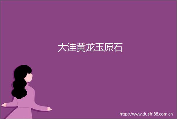 大洼黄龙玉原石