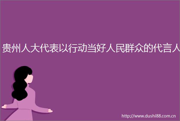 贵州人大代表以行动当好群众的代言人