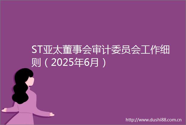 ST亚太董事会审计委员会工作细则（2025年6月）