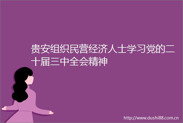 贵安组织民营经济人士学习党的二十届三中全会精神