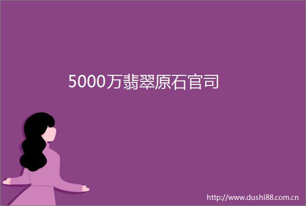 5000万翡翠原石官司