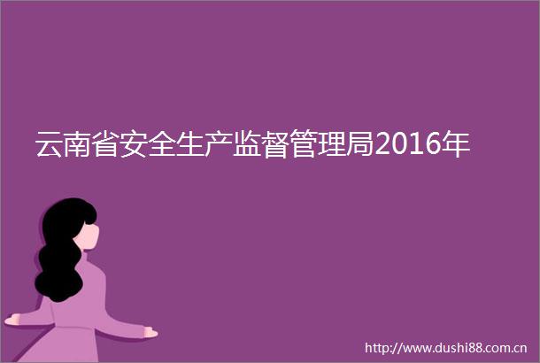 云南省安全生产监督管理局2016年