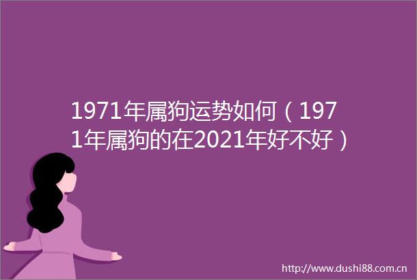 1971年属狗运势如何（1971年属狗的在2021年好不好）