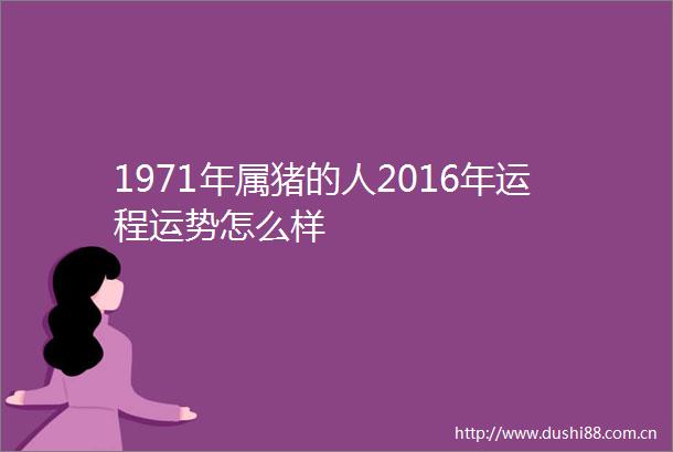1971年属猪的人2016年运程运势怎么样